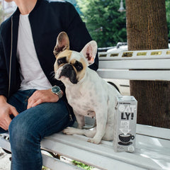 Bautura din Ovaz Barista Vegan Oatly 1 l x 6