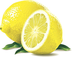 Bio Biscuiti cu Lamaie Fara Zahar Xweet 125 g