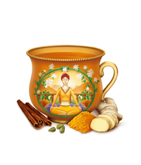 Bio Ceai Ayurvedic cu Curcuma (Turmeric) Yogi Tea 34 g