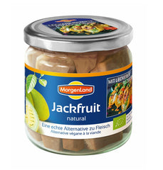 Bio Jackfruit Natural la Borcan Morgenland 180 g