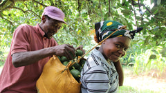 Bio Ulei de Avocado Presat la Rece Bioplanete 250 ml