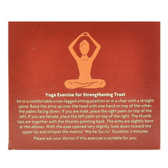 Ceai ayurvedic cu Rooibos, Musetel si Vanilie Bio Bedtime Yogi Tea 30,6 g