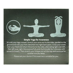 Ceai Ayurvedic cu Ceai Negru, Ghimbir si Scortisoara Bio Yogi Tea 37,4 g