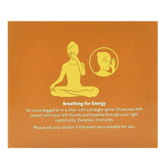 Bio Ceai ayurvedic cu Ghimbir, Portocale si Vanilie Ginger Orange Yogi Tea 30,6 g