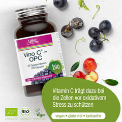 Bio Vitamina C Vino C GSE 120 Capsule 72 g
