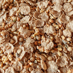 Granola Bio Proteica Turtle 300 g