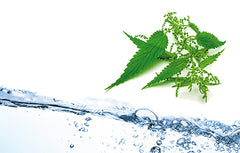 Magneziu Sanatur 100 capsule 55 g