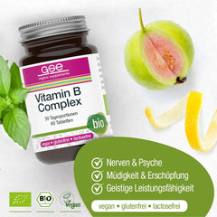 Vitamina B Complex Bio Vegan GSE 60 Pastile 500 mg 30 g