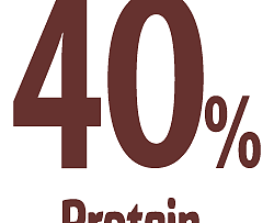 Bio Super Aliment Chieftain Ancestral SuperFoods 250 g