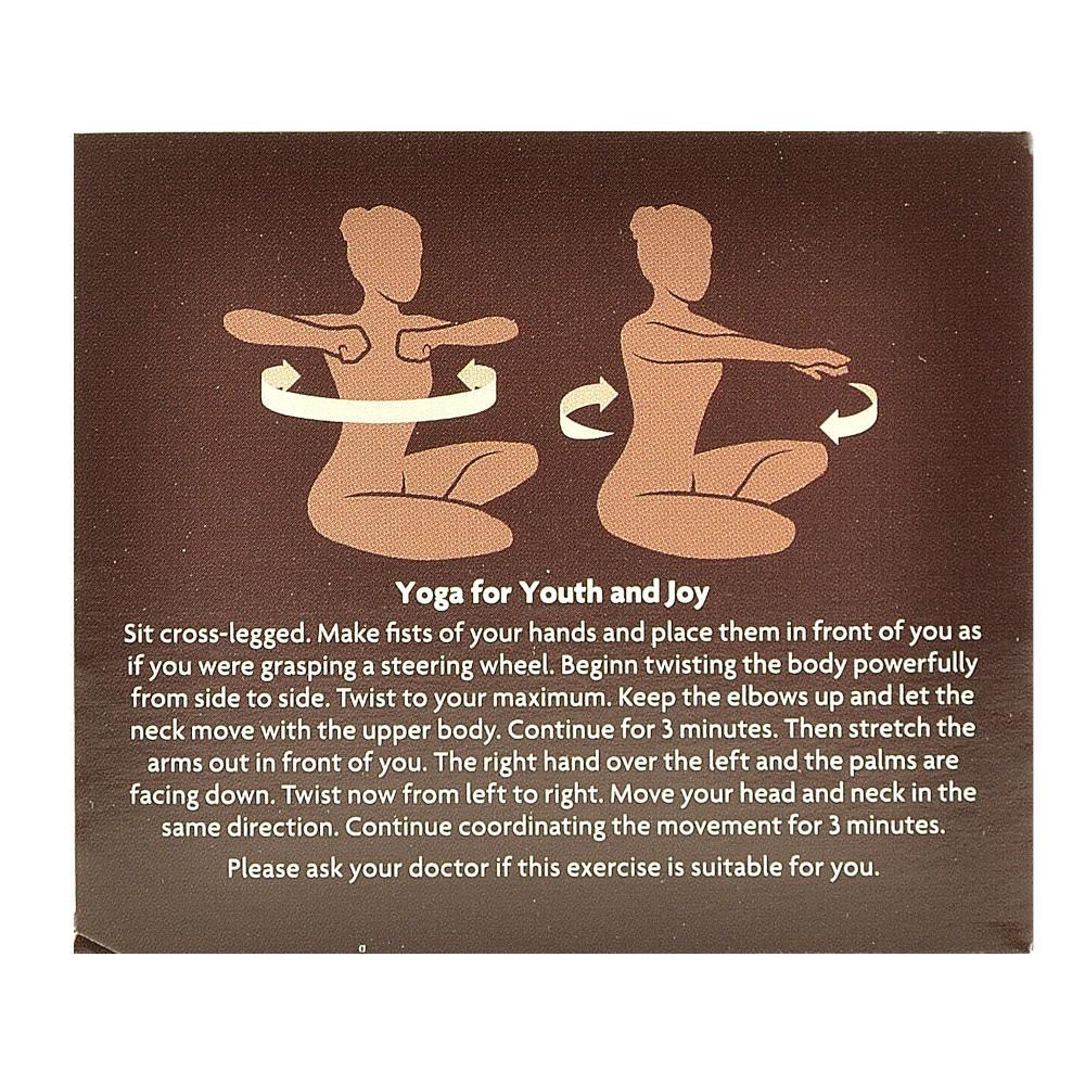 Bio Ceai Ayurvedic cu Cacao si Chili Choco Chili Yogi Tea 37,4 g