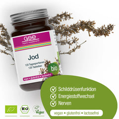 Bio Iod Compact GSE 120 Capsule 280 mg