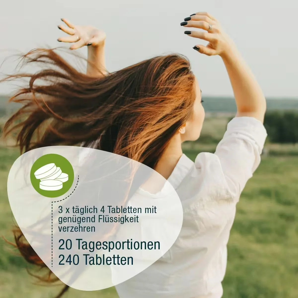 Spirulina Bio Tablete GSE 240 buc 120 g